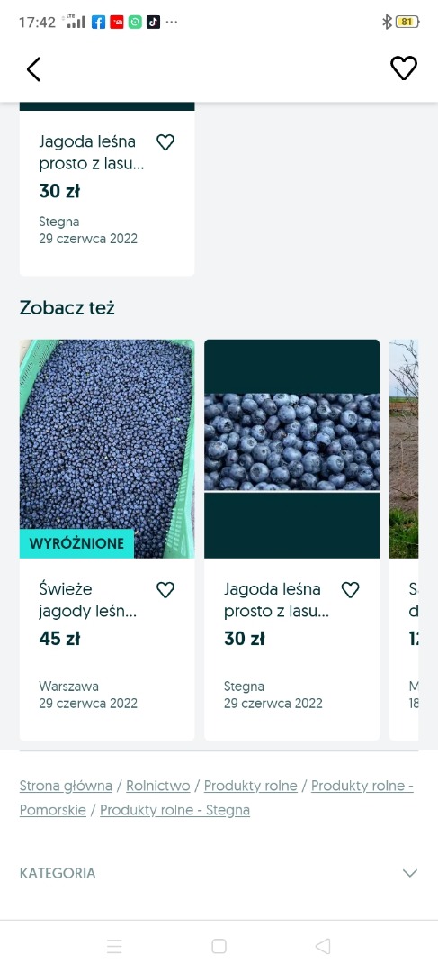 Hand-picked forest berry