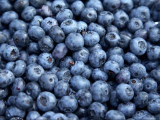 I will sell a forest blueberry. Price PLN 15