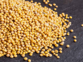 We offer high-quality cereals (Lucerne, Fescue, SainfoinЮ, Ryegrass, Clover,