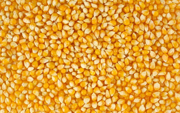 We offer dry maize for sale, harvested in 2021