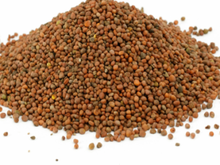 We offer high-quality cereals (Lucerne, Fescue, SainfoinЮ, Ryegrass, Clover,