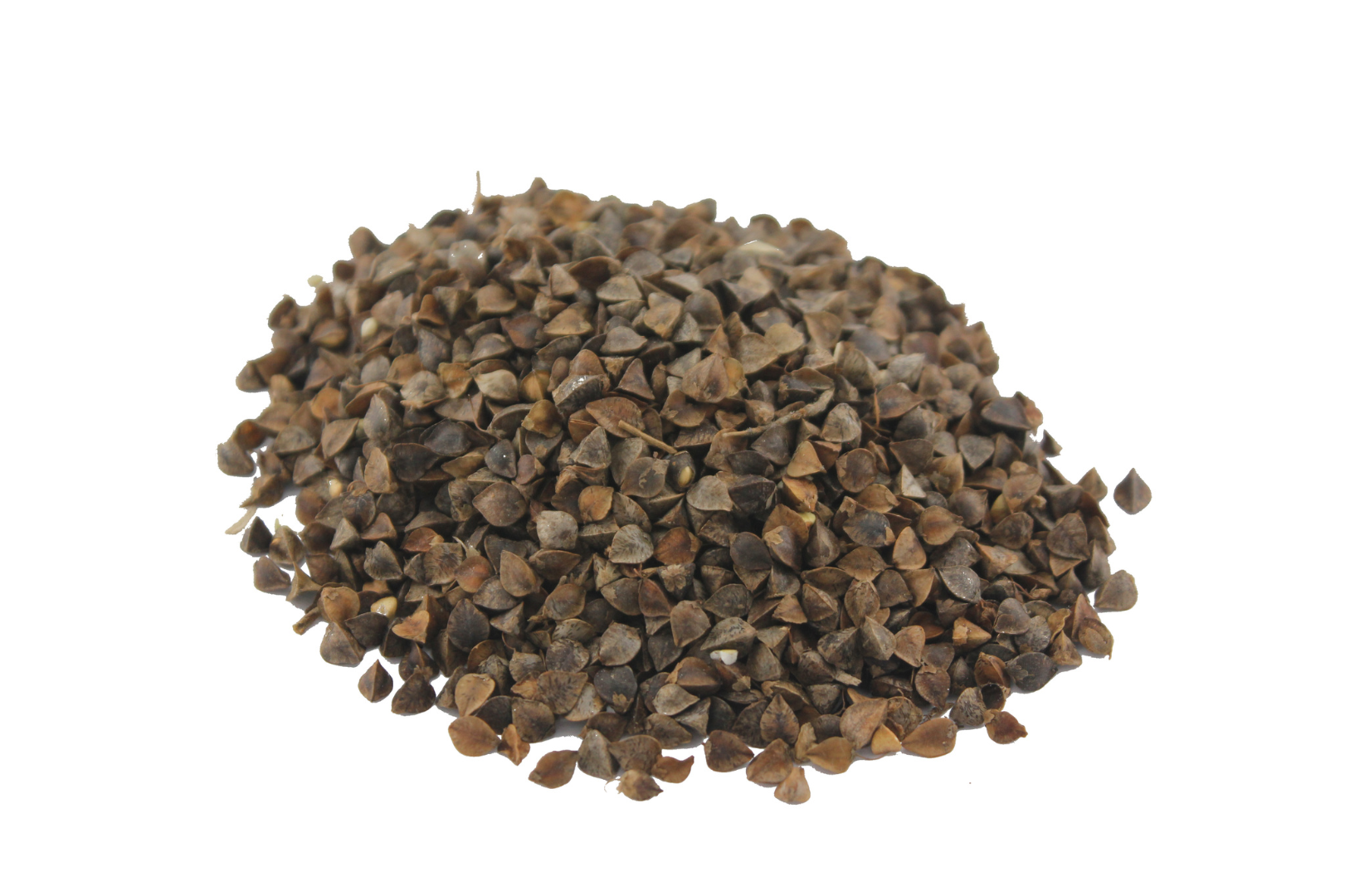 We offer high-quality cereals (Lucerne, Fescue, SainfoinЮ, Ryegrass, Clover, Phacelia, Milk thistle, Timothy grass, Radish, Mustard, Flax, Сoriander