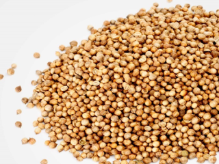 We offer high-quality cereals (Lucerne, Fescue, SainfoinЮ, Ryegrass, Clover,