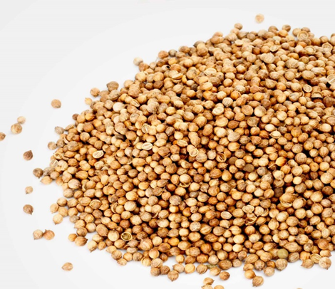 We offer high-quality cereals (Lucerne, Fescue, SainfoinЮ, Ryegrass, Clover, Phacelia, Milk thistle, Timothy grass, Radish, Mustard, Flax, Сoriander
