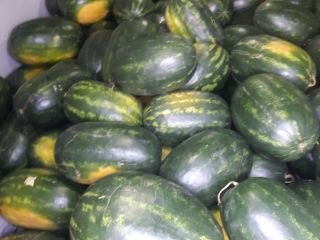 Class I melon! Hungary!