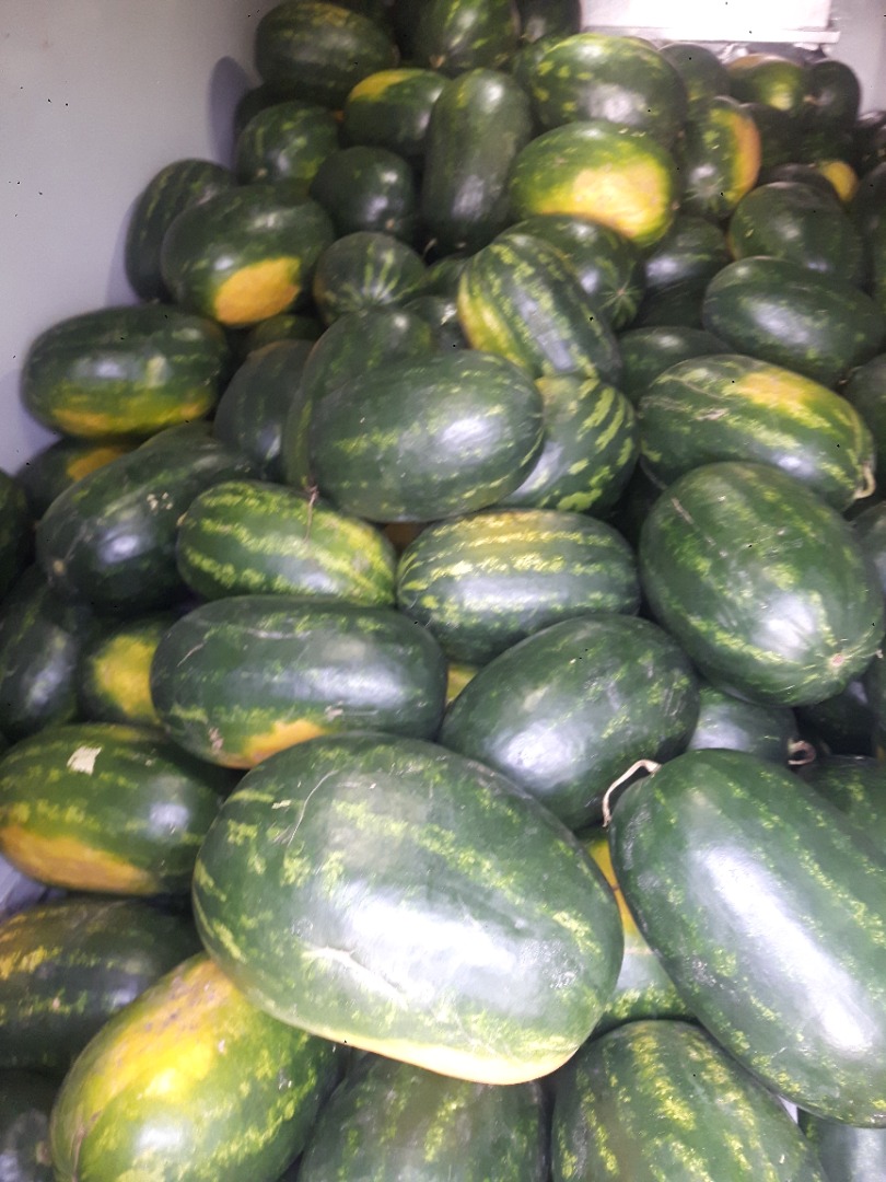 Class I melon! Hungary!