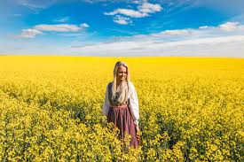 Rapeceed from argricompany in Ukraine