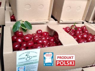 Polish cherries. The best quality & big size. Manual