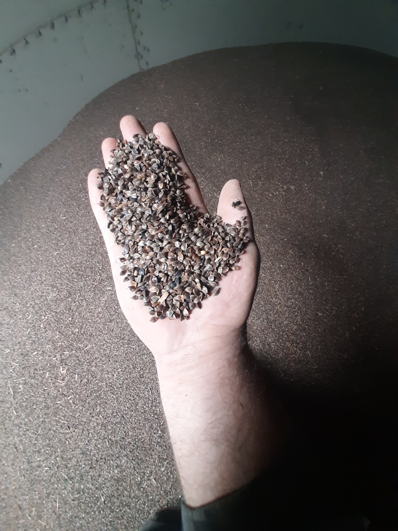 Cleaned dry buckwheat ready for shipment packed in 1200 kg