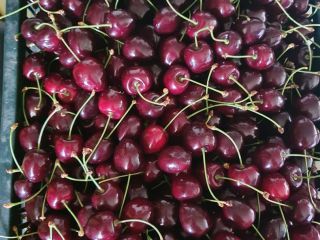I will sell cherries, Wanda variety