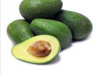 Vegetables fruits. I am selling AVOCADO SPAIN, horse I,