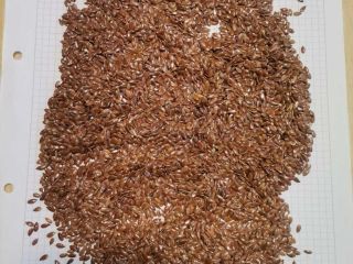 We offer our own corn production for sale in