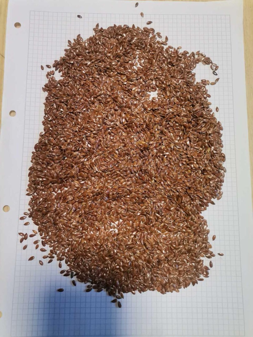 We offer our own corn production for sale in Ukraine
