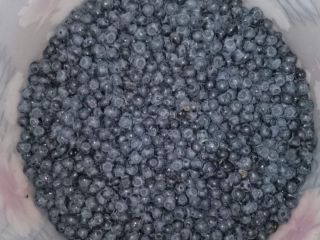 Forest blueberry for sale, harvested fresh daily. I will