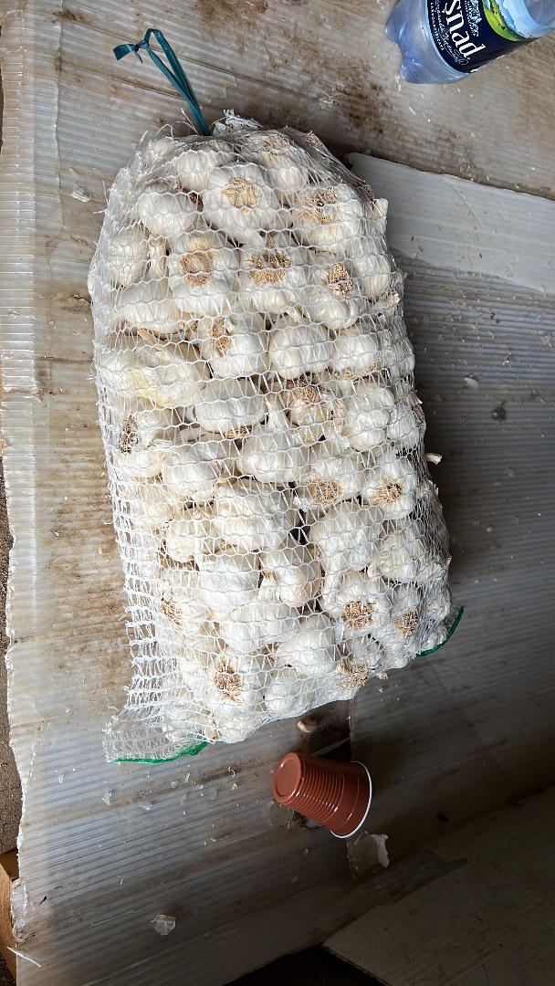 I'm selling garlic