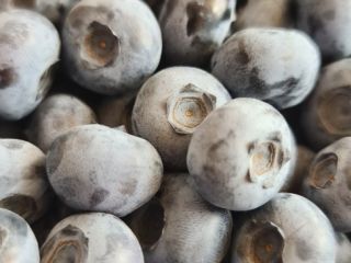 I will sell blueberry, various varieties. Grown without spraying