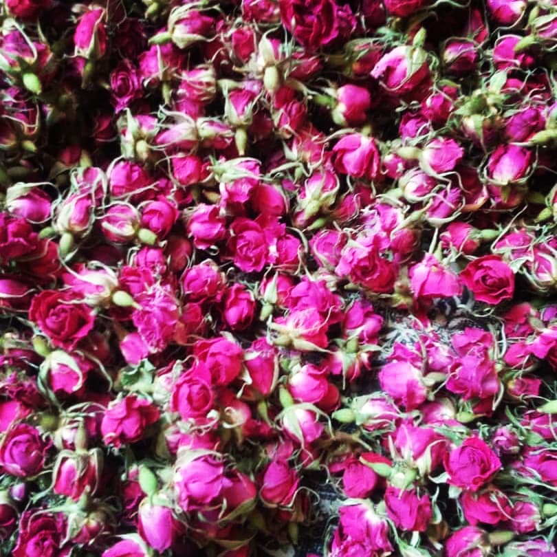 Marjoram plant sale in bulk and sorted in organic quality export packages