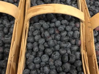Hello, I am selling a freshly picked blueberry. The