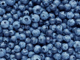 I sell ECO blueberry We are from Macedonia for