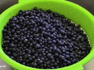 I will sell pure blueberries in the vicinity of