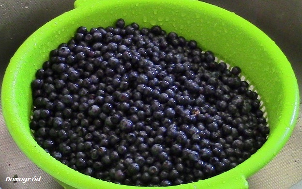 I will sell pure blueberries in the vicinity of Ostrołęka, the possibility of delivery