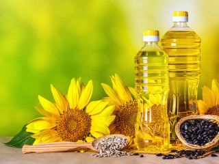 Manufacturer - regular supplies of unrefined sunflower oil. Price