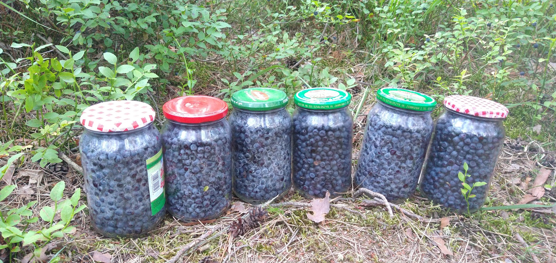 I'll take the berry order