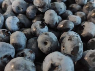 Ecological, large, watered, tasty, sweet and fresh