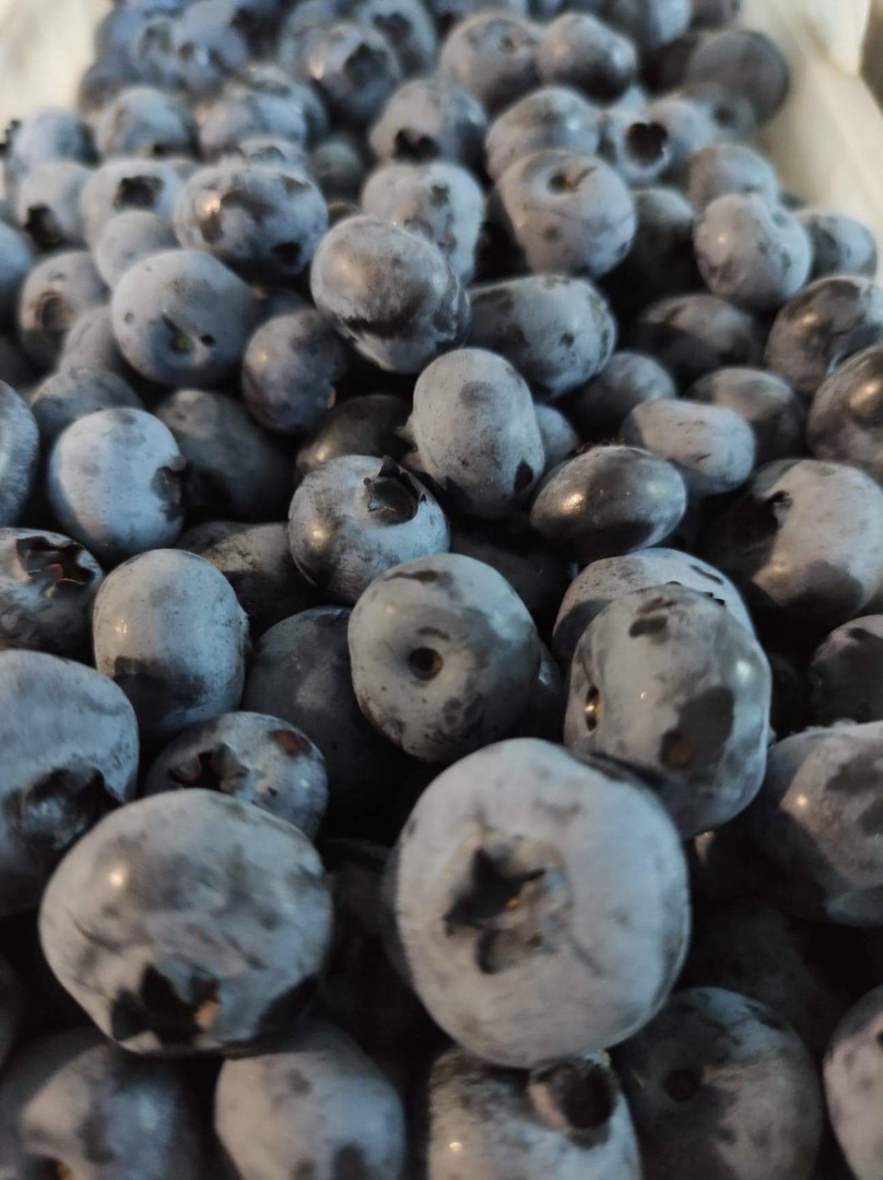 Ecological, large, watered, tasty, sweet and fresh