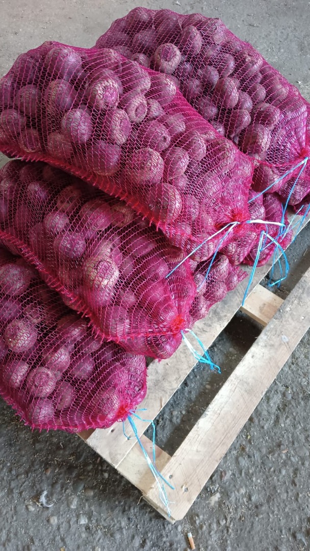 I will sell beetroot, wholesale quantity, washed or not