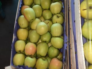 Hello. Golden Delicious apple for sale. Packed in wooden