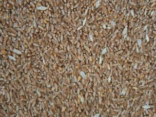 I buy cereals, barley, wheat, rapeseed, soybeans, sunflowers and