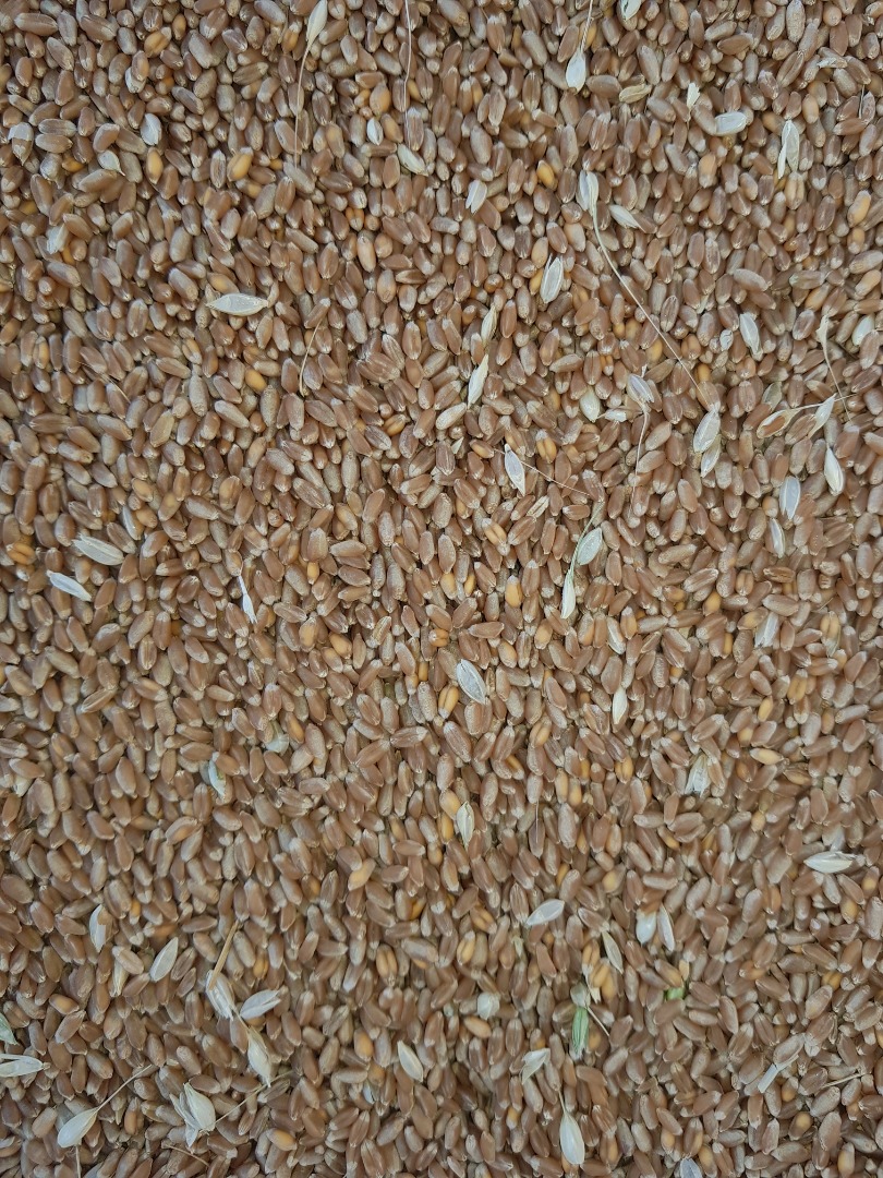 I buy cereals, barley, wheat, rapeseed, soybeans, sunflowers and corn