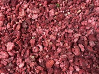I will sell a frozen raspberry (grits) from Belarus.