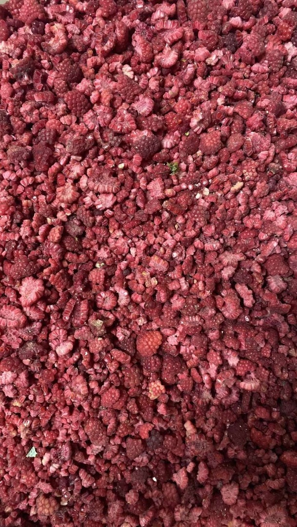 I will sell a frozen raspberry (grits) from Belarus