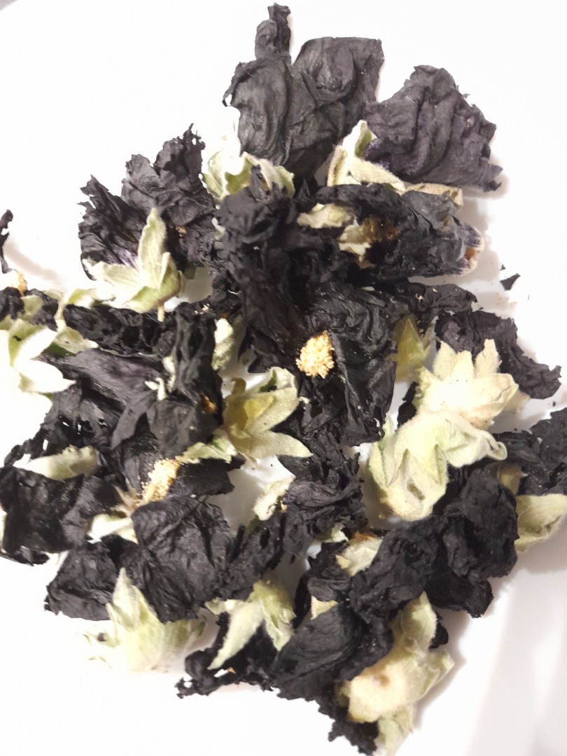 Black hollyhock from seasonal cultivation harvest 2022