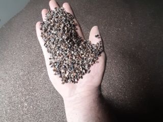 I will sell ecological buckwheat from my farm, goods
