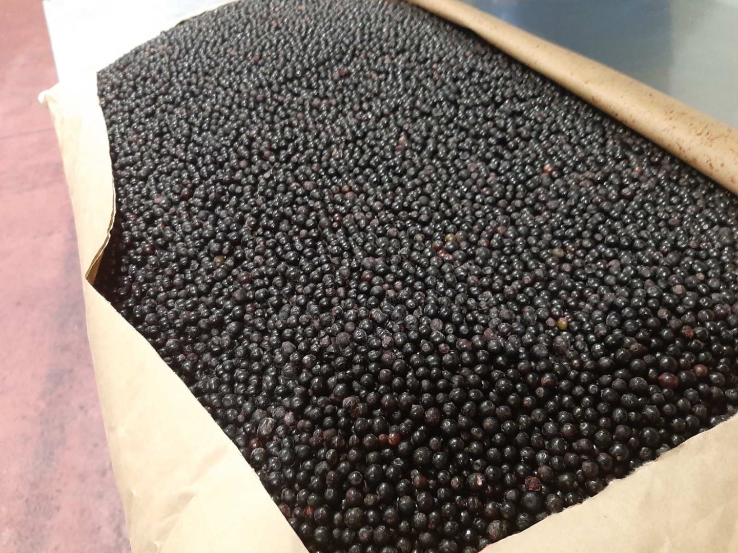Strawberry Mrozona tunelowo