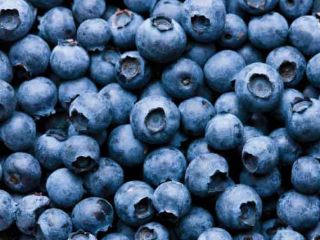 I will sell slovakia berries. Phone number