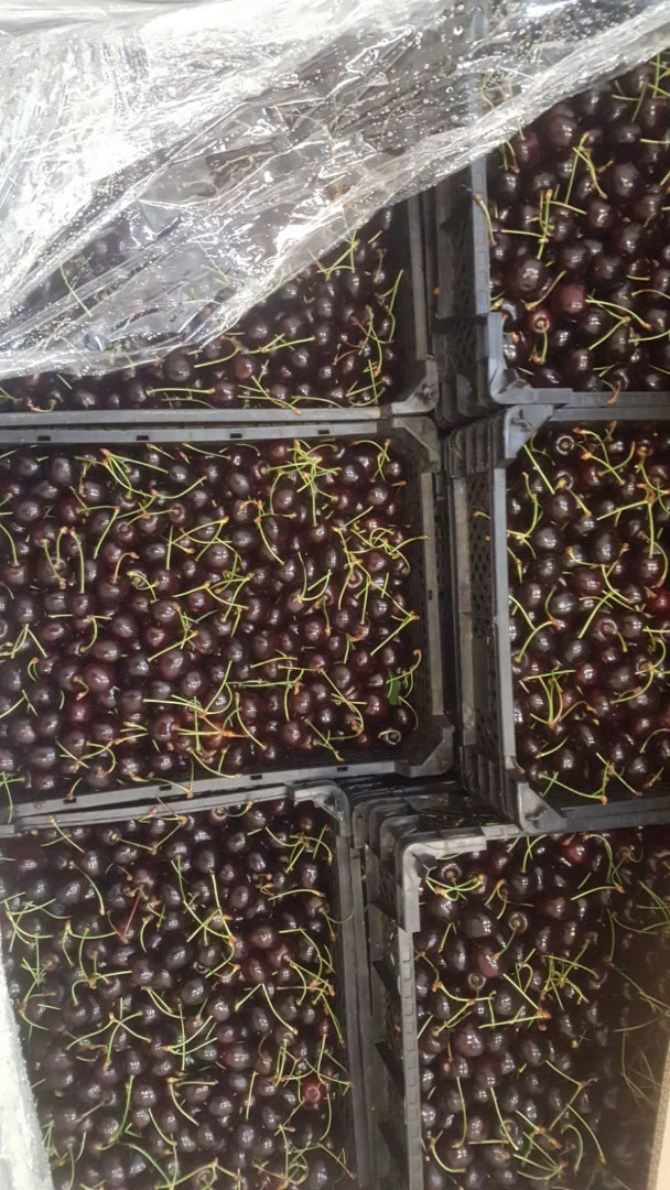 Cherry for sale: light Staccato and dark cordia wholesale quantities - cold store, 22+ plastic 4.5 kg price to be agreed after viewing the goods
