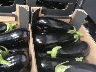 Fresh Polish eggplant in car quantities