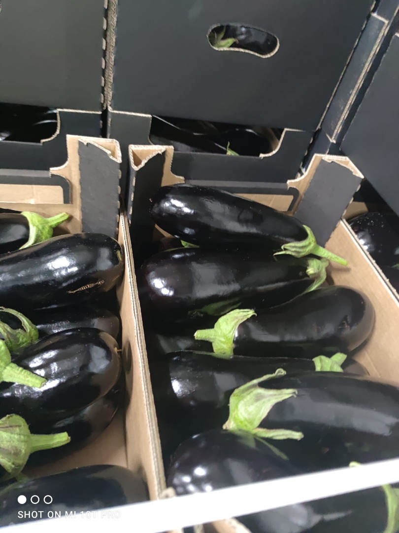 Fresh Polish eggplant in car quantities