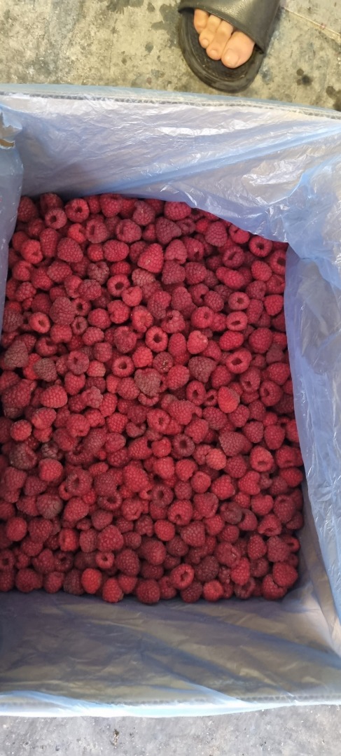 Raspberry Vilamet 90/10