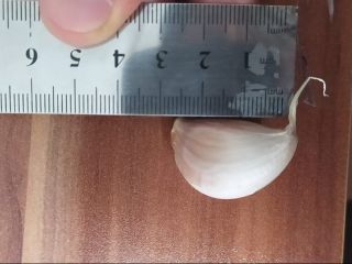High quality garlic at an affordable price