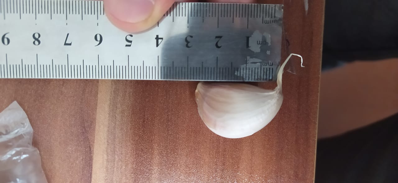 High quality garlic at an affordable price