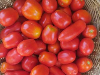 Organic tomato from Villa Maria. For fresh sauces and