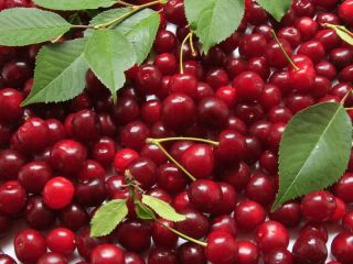 I will sell picked cherries to order, possible transport