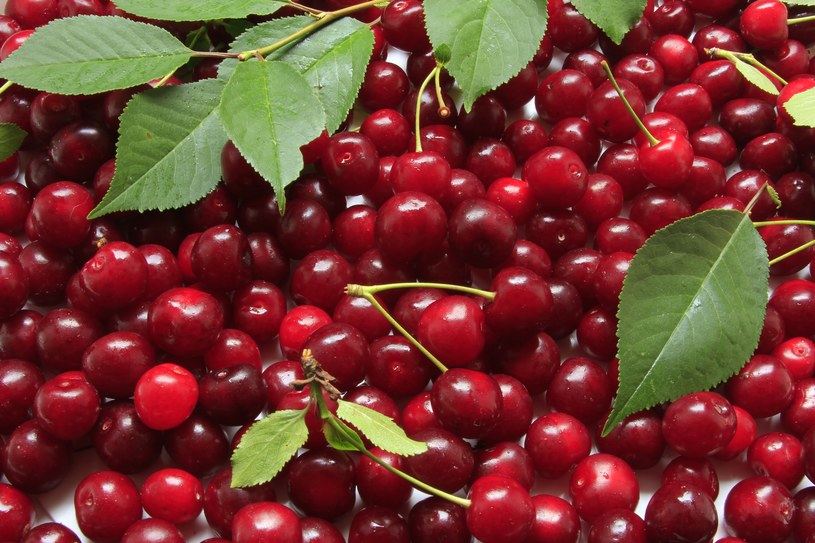 I will sell picked cherries to order, possible transport to Lublin on certain days