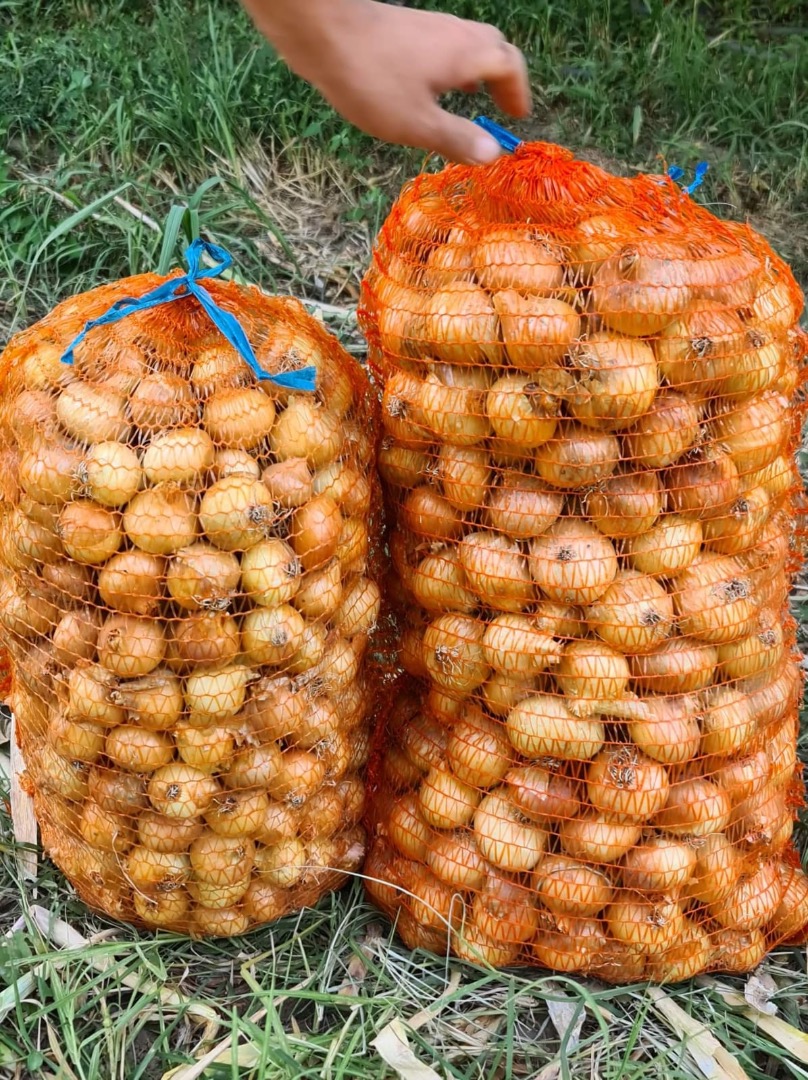 I sell onions in bulk from the field or in bags, large, medium and small