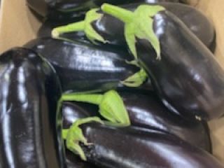Polish fresh eggplant, packed 5 kg in a carton